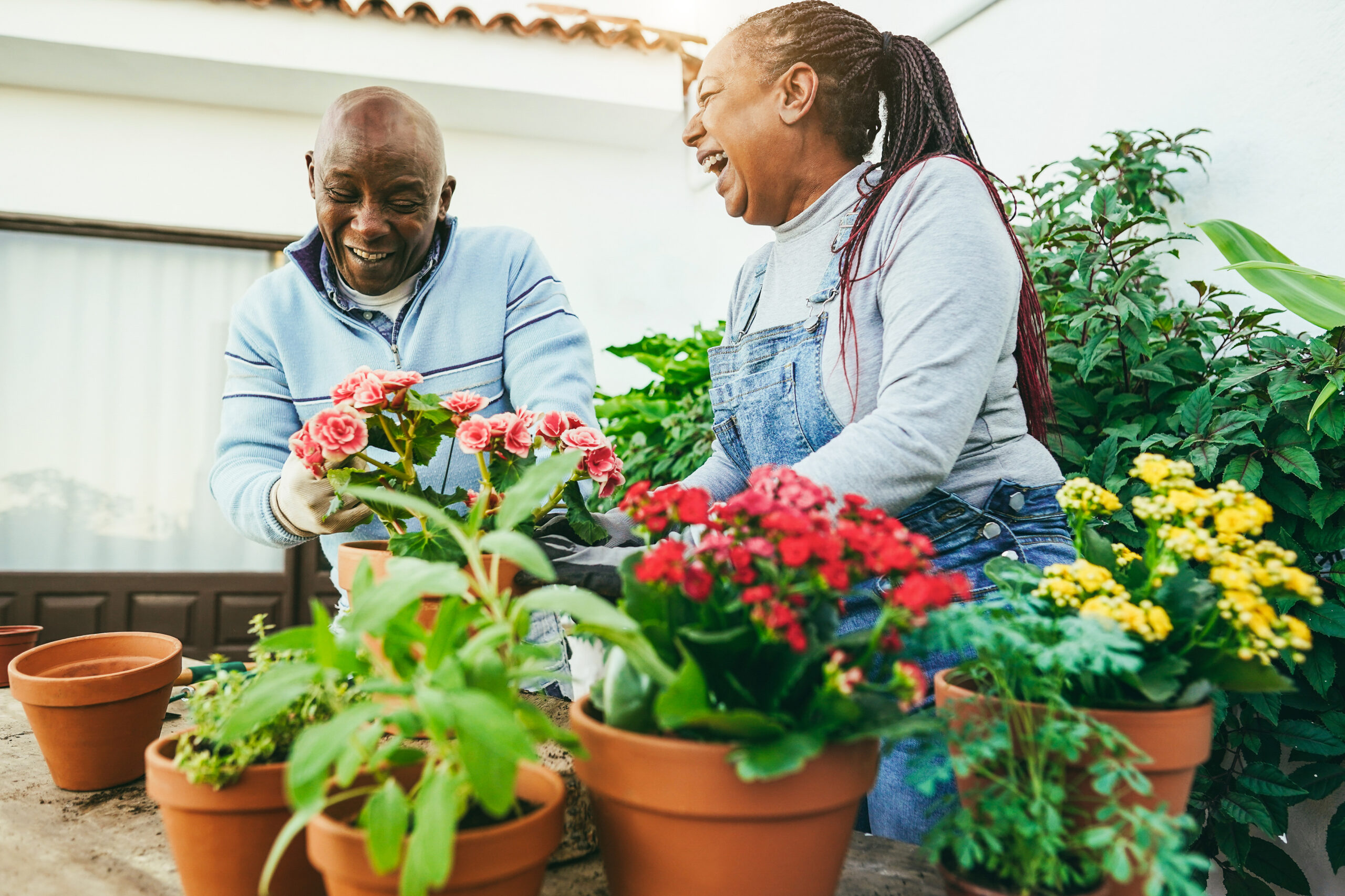senior couple in their gardening club